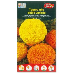 SEMILLAS FINSTOCK FITO FLORES TAGETE ALTO VARIADO CLAVEL 00546 (CAJA 10 UNIDADES)