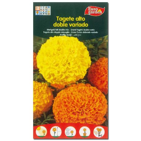 SEMILLAS FINSTOCK FITO FLORES TAGETE ALTO VARIADO CLAVEL 00546 (CAJA 10 UNIDADES)