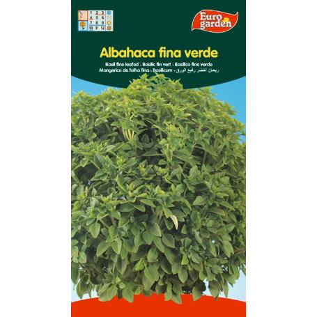 SEMILLAS FITO AROMATICAS ALBAHACA FINA VERDE 00511 (CAJA 10 UNIDADES)