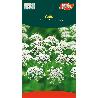 SEMILLAS FITO AROMATICAS ANIS 06761
