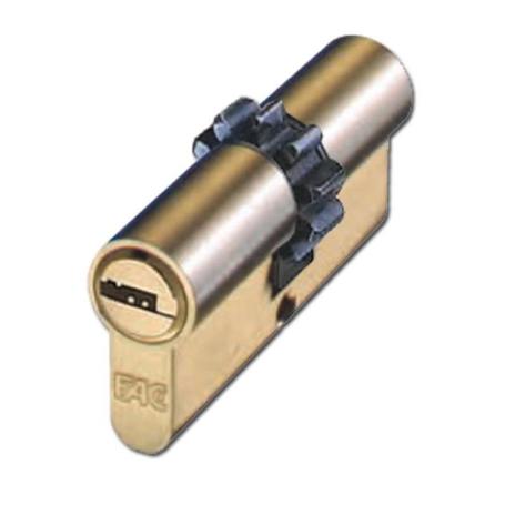 BAJA FAC CILINDRO PERFIL PIÑON 503-504 LATON 30X30 10 DIEN 07004