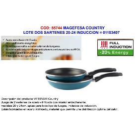 BAJA MAGEFESA LOTE 2 SARTENES COUNTRY 20-24 INDUC  01103407