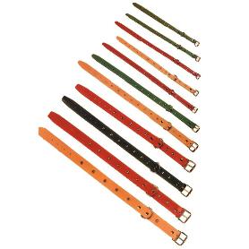 COLLAR  PERRO CUERO C-FORNITURA 550 X 25 MM 01008