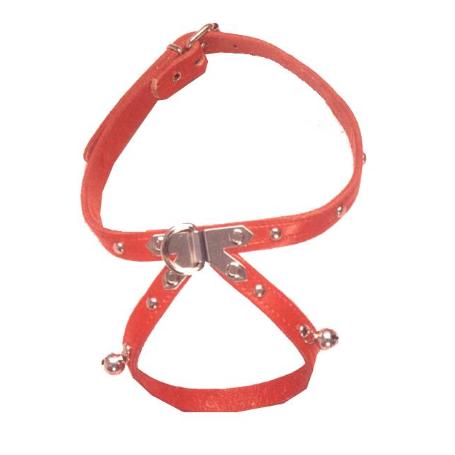 COLLAR PETRAL CUERO+FORNITURA PERRO 350 X 13 MM 02003