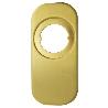 ESCUDO EMBELLECEDOR 165X74MM LATON MATE