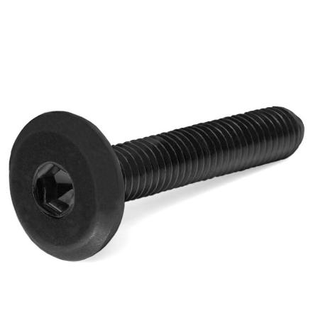 TORNILLO CEGAS CABEZA PLANA ALLEN NEGRO LARGO 25MM DIÁMETRO 6MM