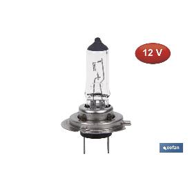 LÁMPARA HALÓGENA COFAN H7 (PX26D) 12V 55W