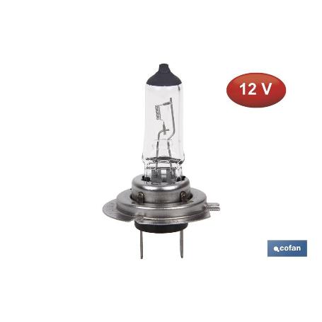 LÁMPARA HALÓGENA COFAN H7 (PX26D) 12V 55W