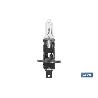 LÁMPARA HALÓGENA COFAN H1 (P14,5S) 24V 70W