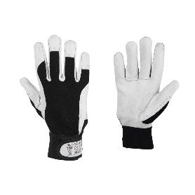 BLISTER G. VACUNO DORSO TELA + VELCRO T-8   CAJA 12 UNID.