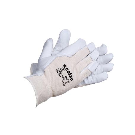 BLISTER G. PIEL V .DORSO DESCUB. T-8   CAJA 12 UNID.