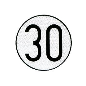 PLACA DE VELOCIDAD HOMOLOGADA 30