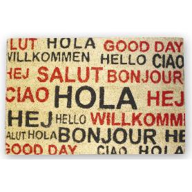 FELPUDO INTERIOR COCO PINTADO 40X60X1.50CM (HOLA IDIOMAS)