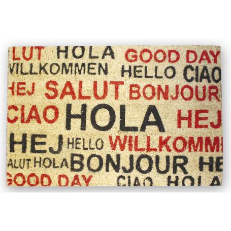 FELPUDO INTERIOR COCO PINTADO 40X60X1.50CM (HOLA IDIOMAS)