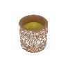 VELA AROMÁTICA DE CITRONELA MACETA DECORADA  170 G   CAJA 6 UNID.