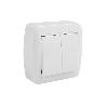 DOBLE INTERRUPTOR SUPERFICIE  MODELO ATLANTIS10A BLANCO