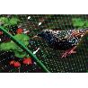 MALLA ANTIPAJAROS 4X12M 7G/M2