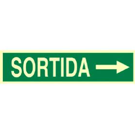 SEÑAL LUMINISCENTE 400X100MM. SORTIDA