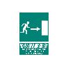 SEÑAL LUMINISCENTE 297X210MM. SALIDA DE EMERGENCIA TEXTO