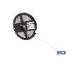 TIRA LED 12 V IP65 CON CONTROL REMOTO 3 M