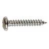 TORNILLO R.CHAPA 5.5X38   X100