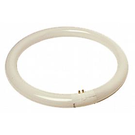 TUBO FLUOR.CIRCULAR 32W TRIFOSFORO