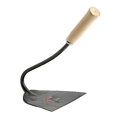 AZADAS         262   C.M.