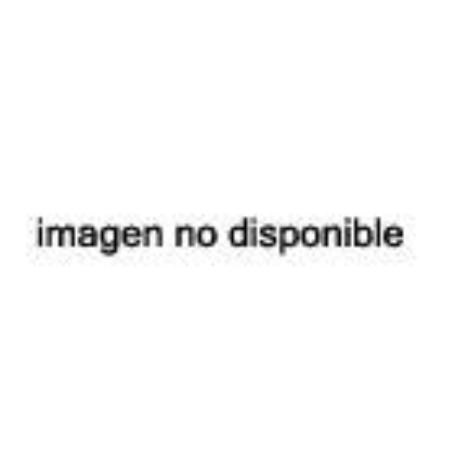 GIERRE-TL302E-ANDAMIO LIGERO DE ACERO SELFIX EN1004 (425)