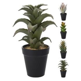 MACETA CACTUS 26 CM SURTIDAS